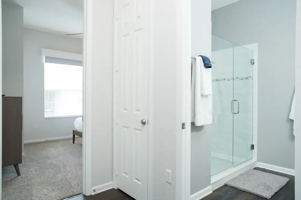 Penthouse Vision - All New!