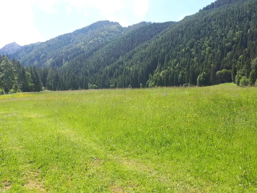 Almhütte