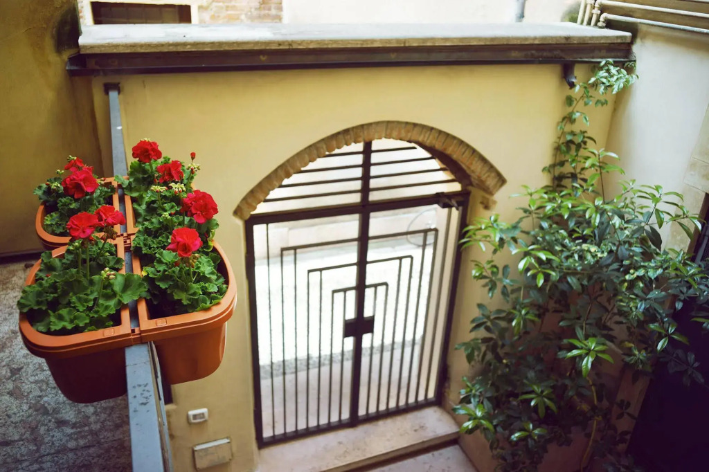 Romeo's Guest House