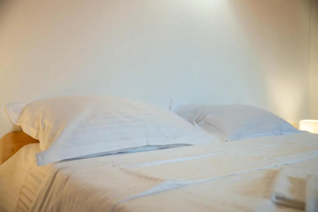 Bed&Wood in Center of Oradea 1