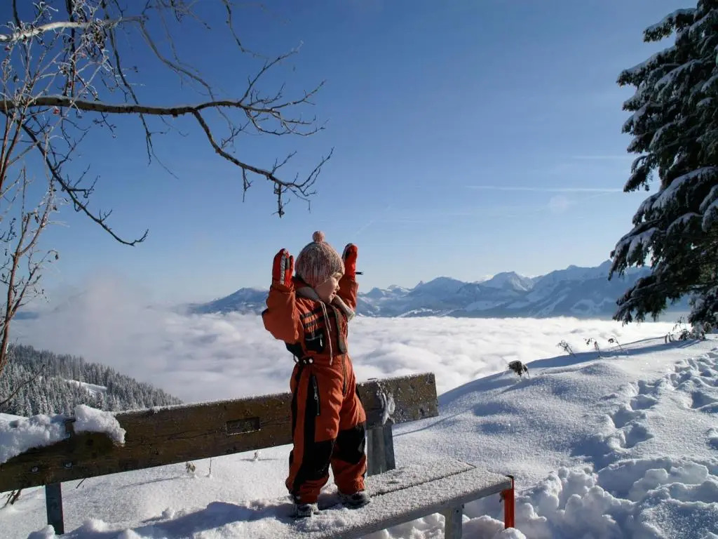 Haus Bergahorn Allgäu - Sommer mit Bergbahnticket
