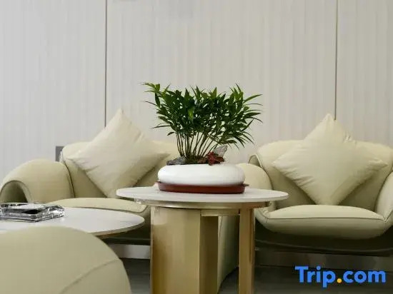 Ziting Hotel (Yanxiang Road North Exit Subway Station Branch, Xi'an Jiaotong University)