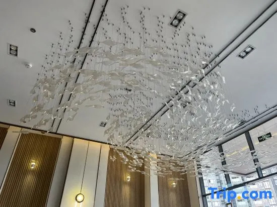 Jiaxi Chain Hotel Shenzhen Gushu