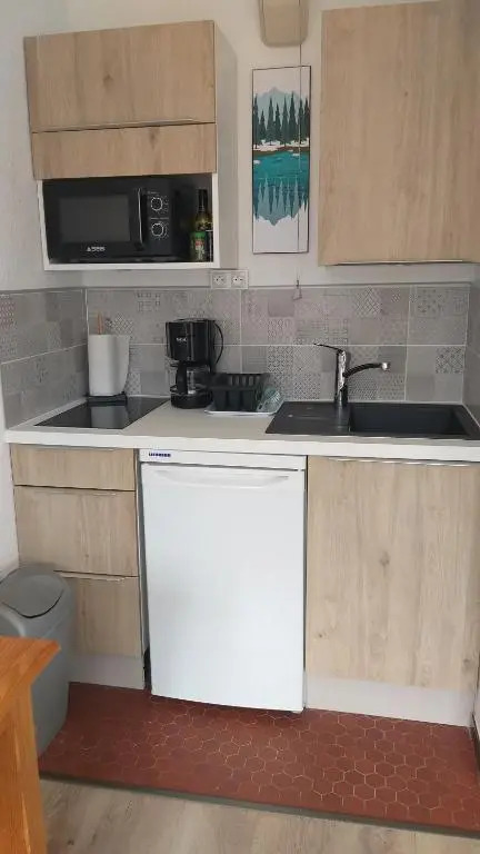 Studio Plein Sud Vue Mont Blanc Chamonix (Adults Only)