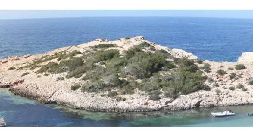 Apartmentos Nort