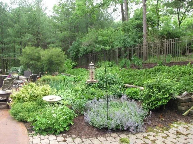 Big Hollow Bed & Breakfast