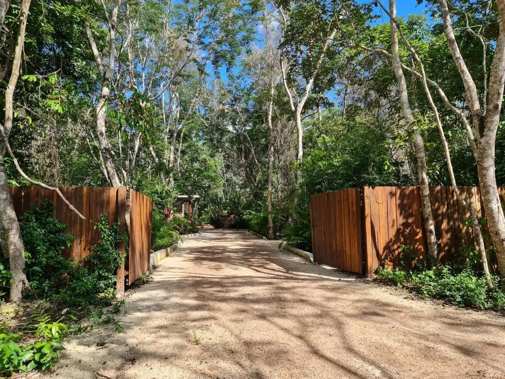 Secret Gardens Bacalar Suite 02 con alberca y bicicletas