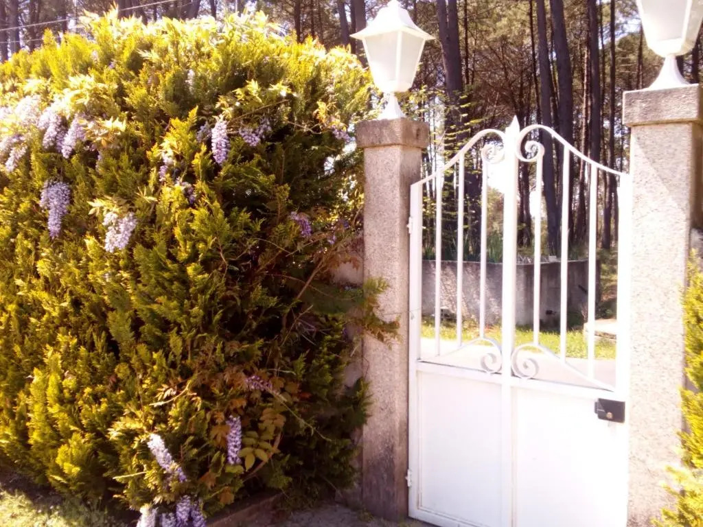 Casa do soito