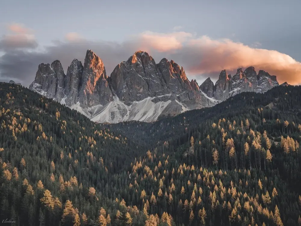 Forestis Dolomites