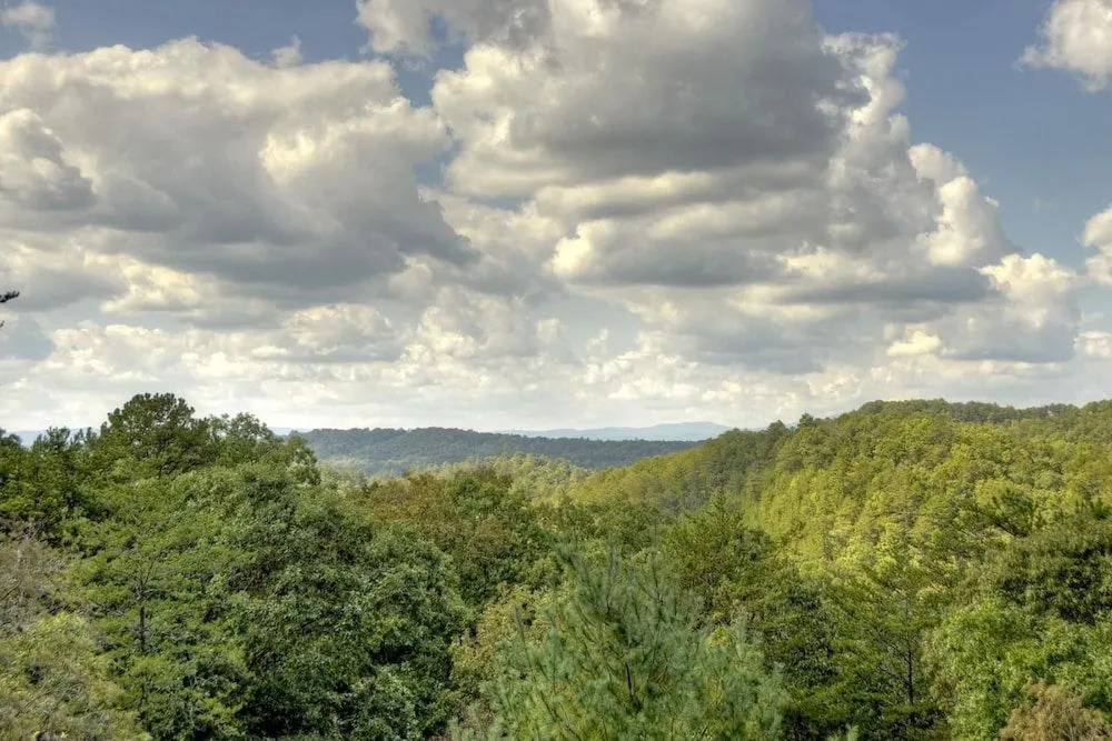 Lord's View