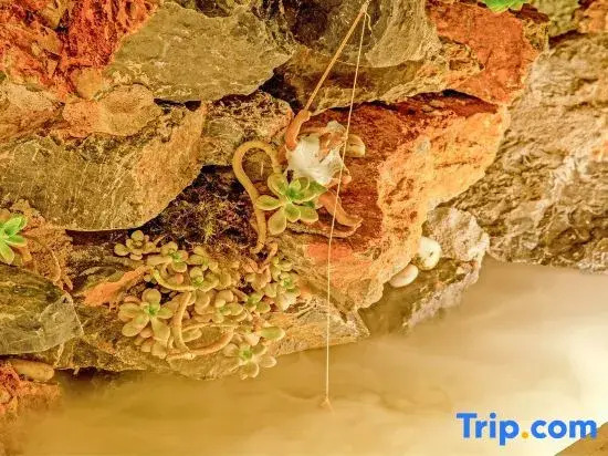 Three-time Bieyuan·star theme worry-free starry sky beauty hotel