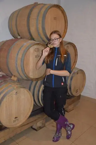 Weingut und Gästezimmer Perner