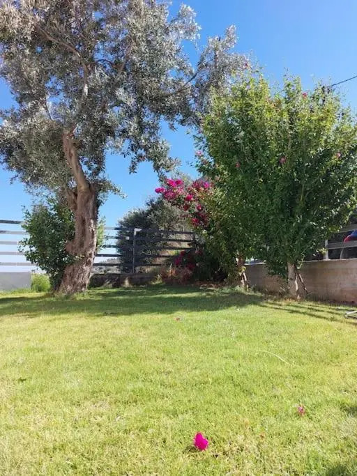 Villa with Aegean views