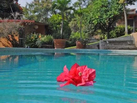 Hotel Bungalows Las Rosas