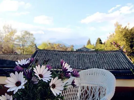 Yixing Thatched Cottage Inn (Lijiang Old Town Dashuiche Branch)