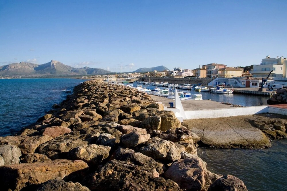 Posidònia