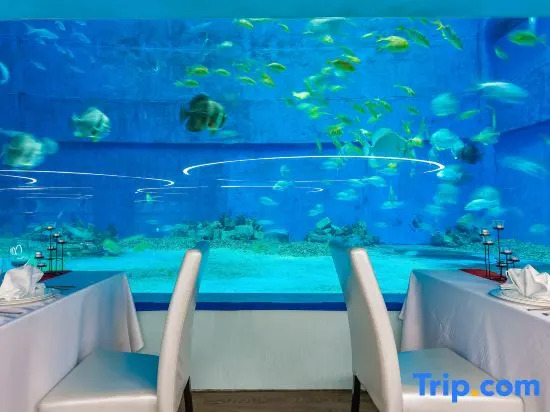 Sanya Ocean Exploration World Conference Training Center