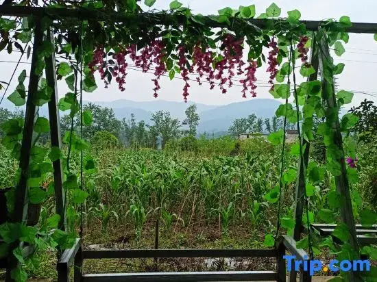 Shangli ancient town water bay green home stay