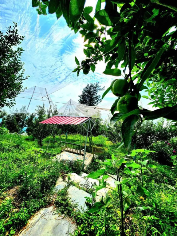 Talai Ghar Homestay