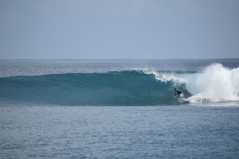 The Maverick Surf and Dive Boutique Hotel