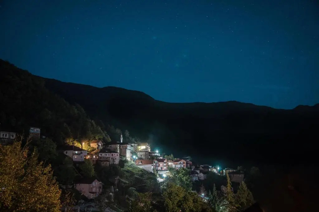 Radika View House
