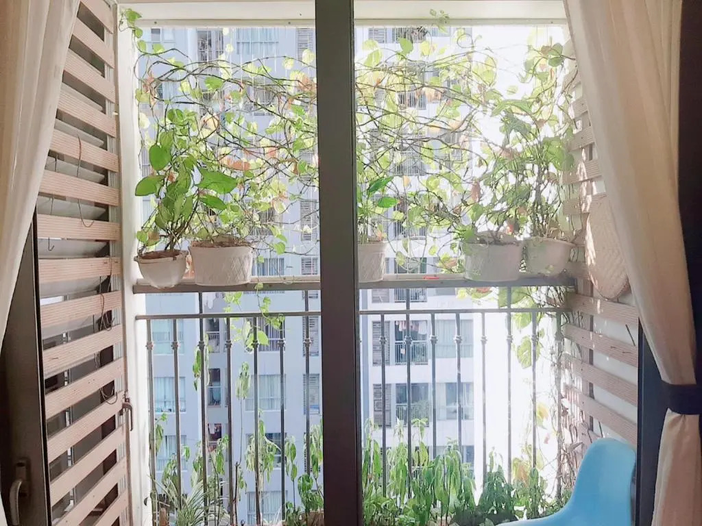 BOM HOMES- Vinhomes Times City- Service Apartment