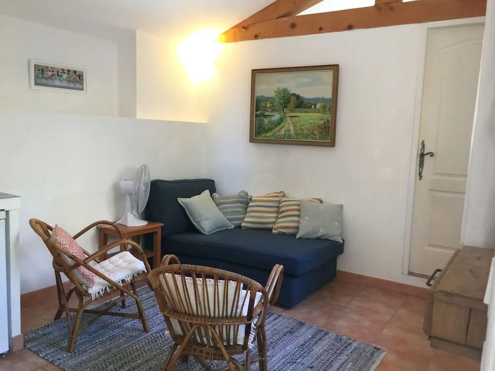 Spacious Villa With Private Swimming Pool a few Minutes' Walk From Lorgues