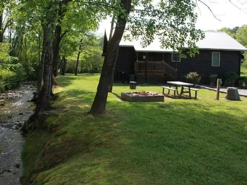 Climbing Bear Creekside Cabin