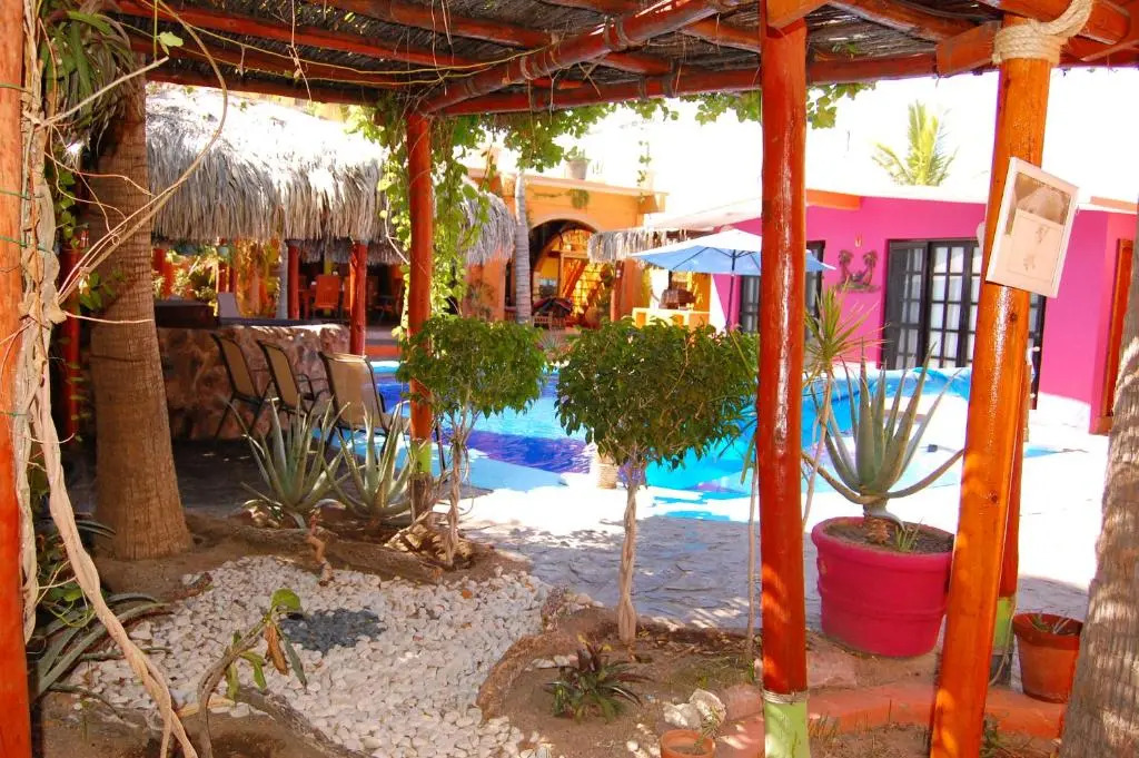Leo's Baja Oasis