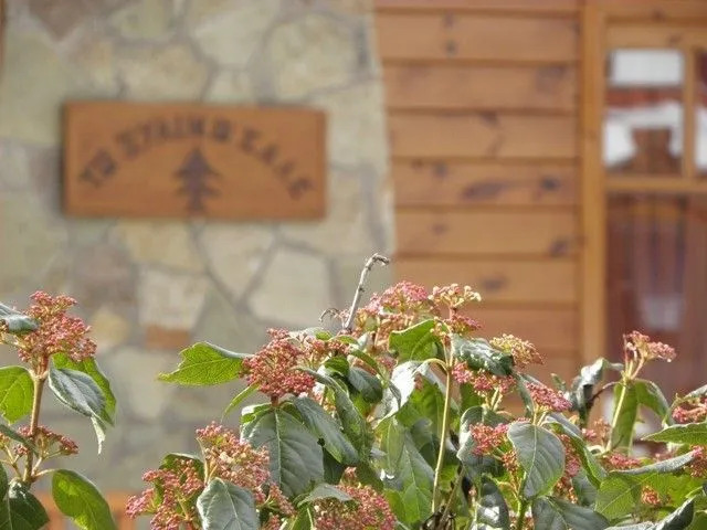 Xylino Chalet