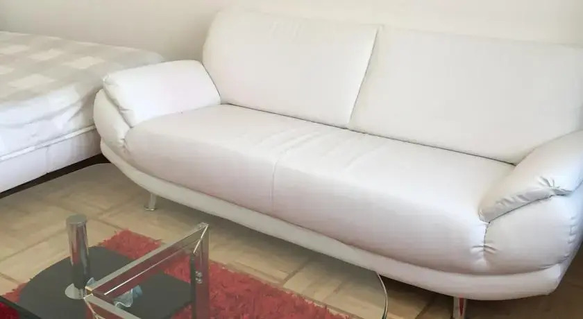 Apartment Merkur