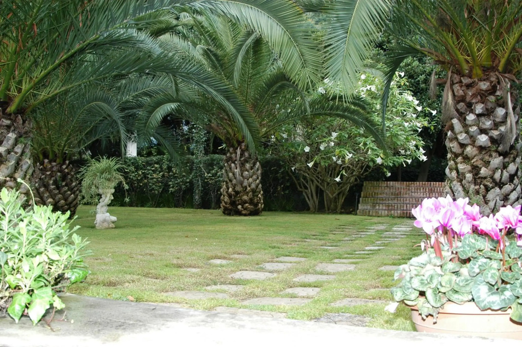 Villa Solaria