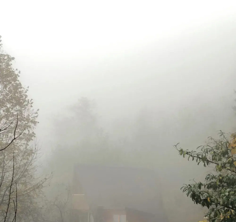 Thomas Hut