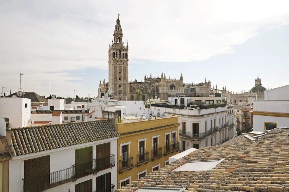 Numa Seville Molina