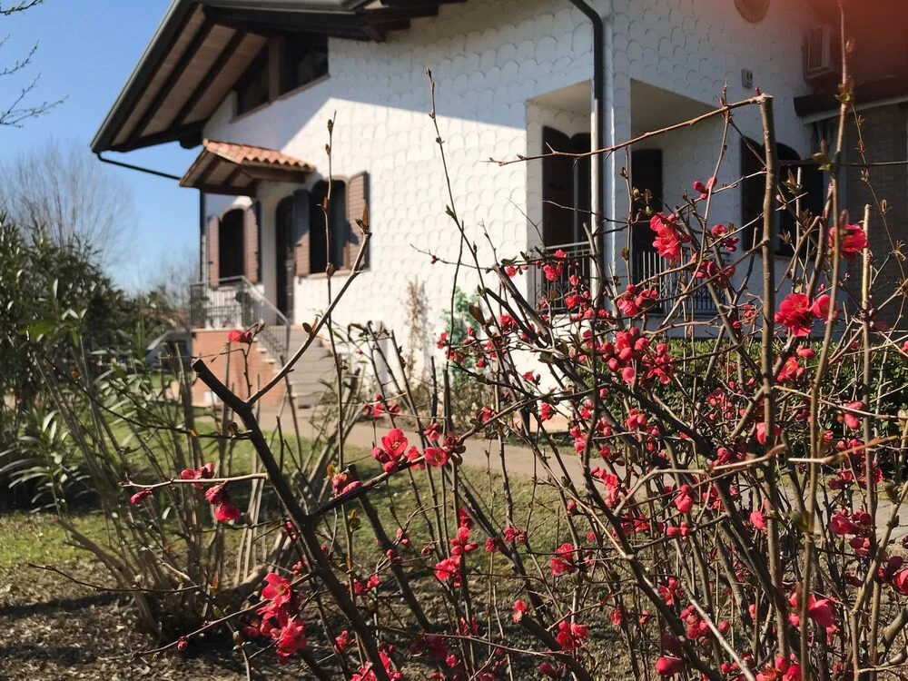B&B Annaclara