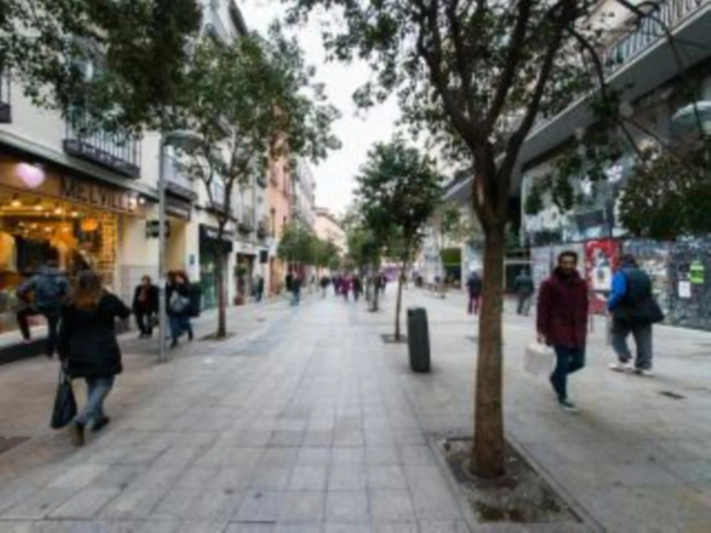 Madrid Center- Fuencarral Pedestrian