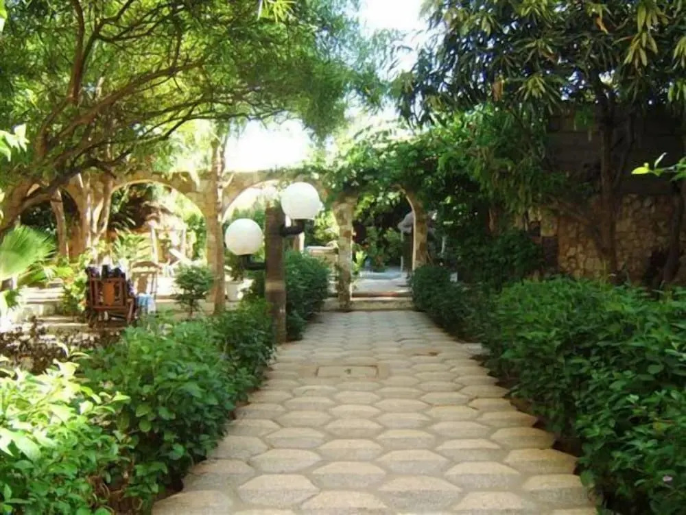 Hotel Mimosa Airport