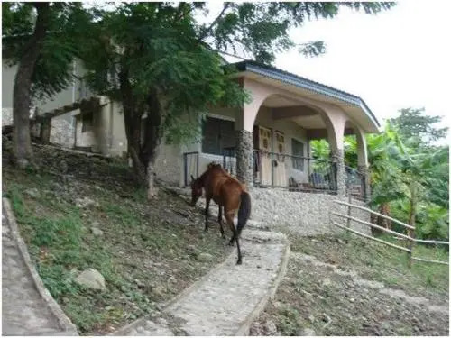 The Green Ranch