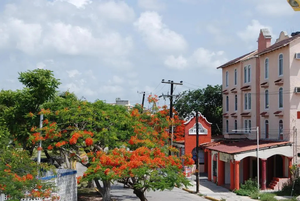 Hotel Tankah Cancun