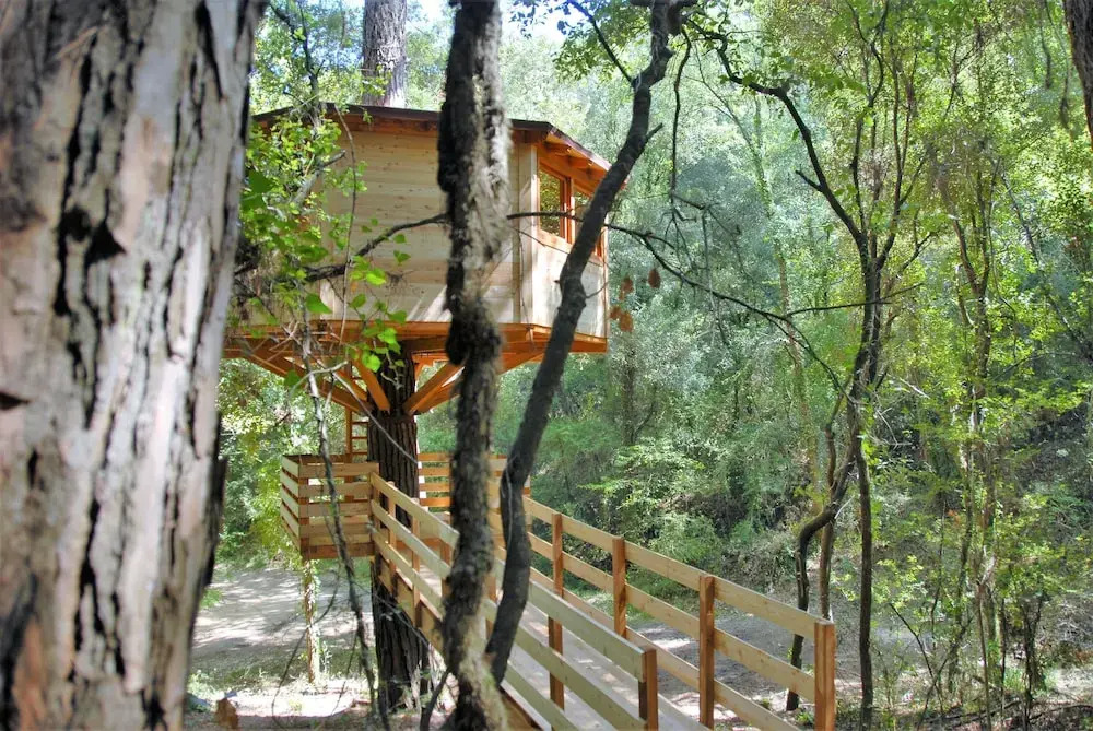 Cabanes Dosrius