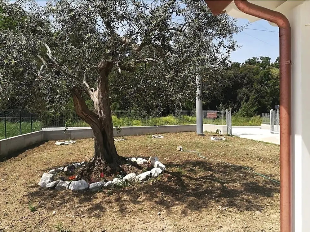 B&B Terra Luna
