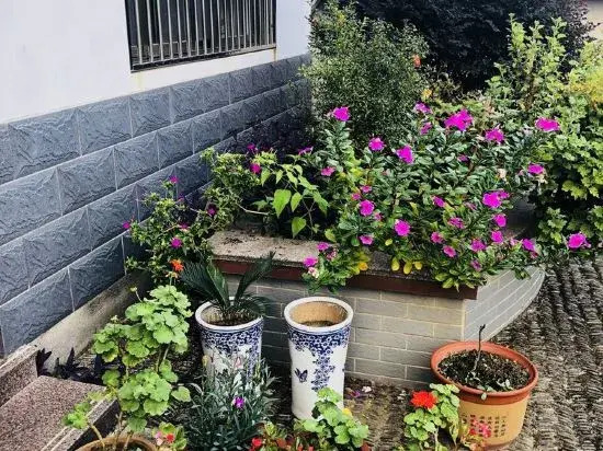 Zhaijia Courtyard