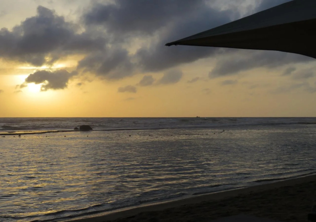 Paradise Bay