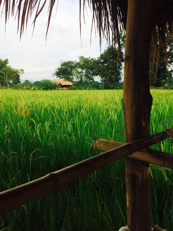 The Vacation Baanraipaina
