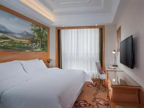 Vienna Hotel Tongcheng Tongkang Road