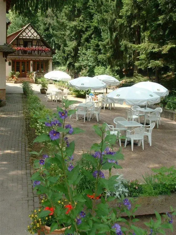 Hôtel-Restaurant Du Château DAndlau