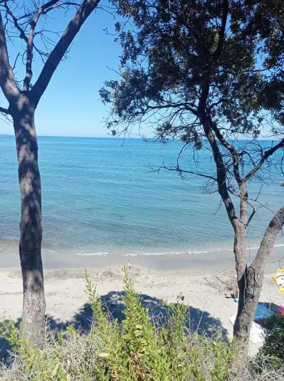 Résidence Marina Di Bravone