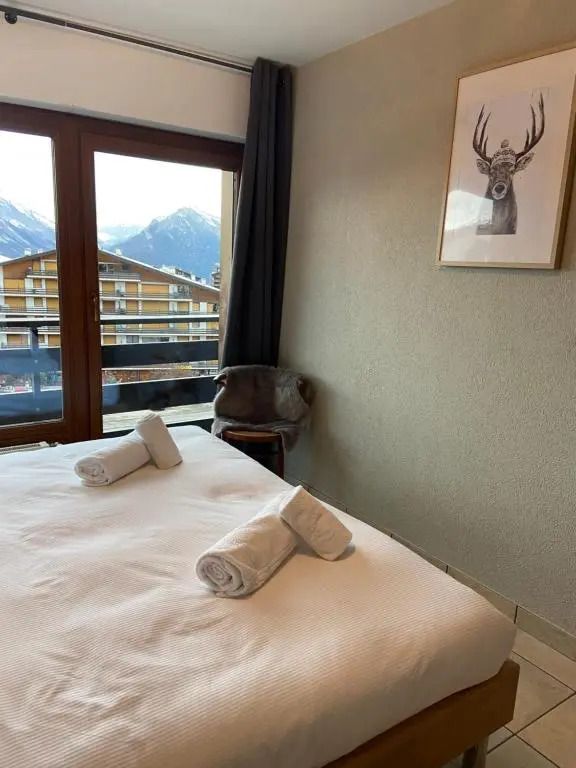 Ski in/out 1 bedroom apartment 4P by télécabine