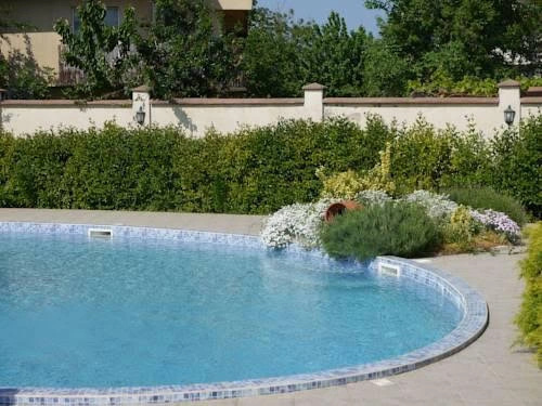Villa Ray