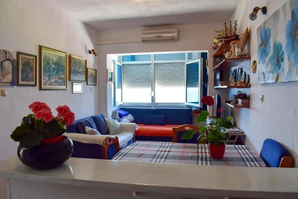 Apartment Aneta